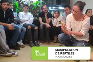 Manipulation de reptiles - Dimanche 20 mars 2022
